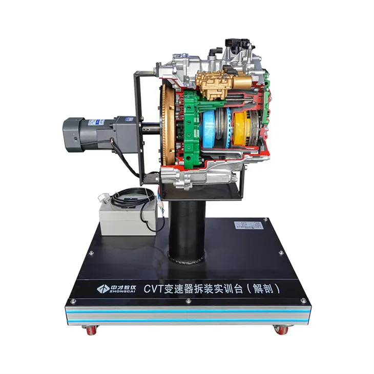 Cov Tsev Kawm Ntawv Automotive Khoom Siv Cutaway Sawv Nrog Kev Tshaj Tawm Tus Kws Qhia Tawm