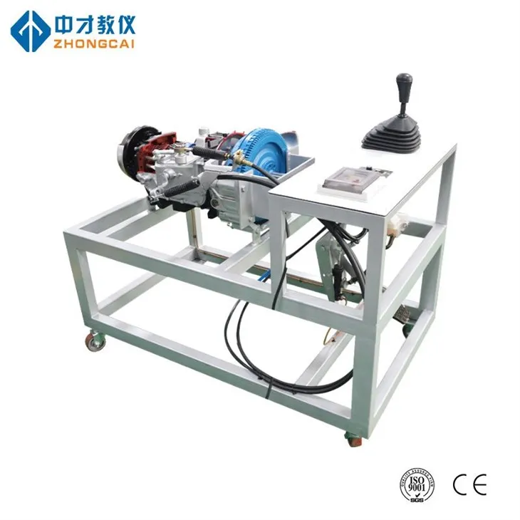 Kev Tuav Kis Qhov Kev Sib Kis Txog Anatomy Zaub Platform